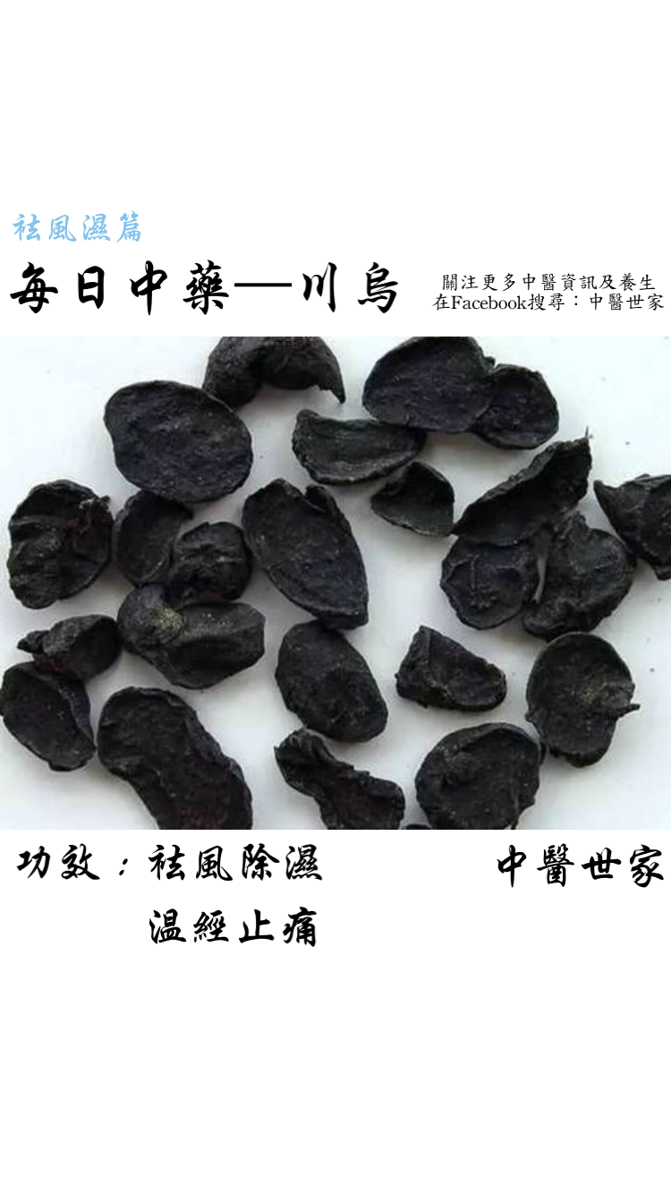 详解川乌的功效与作用,用对了才能祛风除湿止痛!