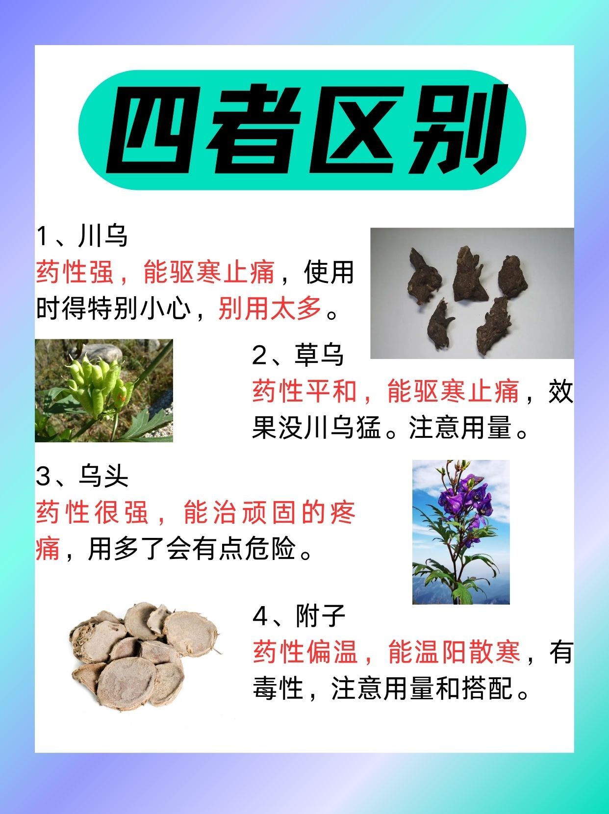 详解川乌的功效与作用,用对了才能祛风除湿止痛!