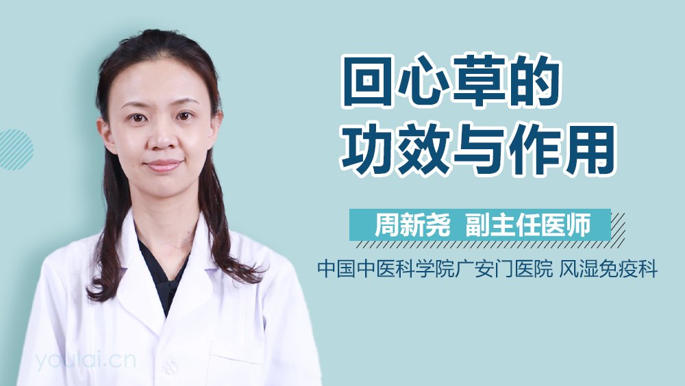 想知道回心草的功效与作用?这篇文章给你讲清楚!