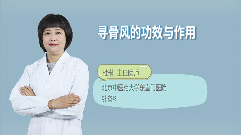 揭秘寻骨风的功效与作用,看看它对身体有啥好处!