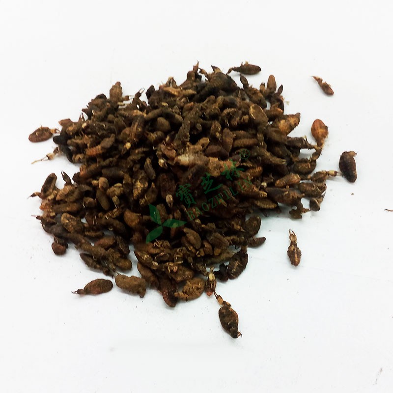 金沙牛的功效与作用详解，快来看看它到底好不好用吧！