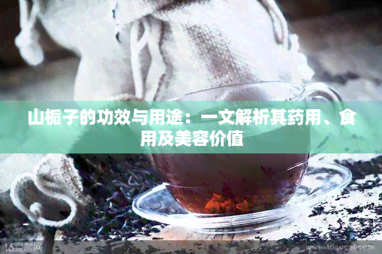 山栀子的功效与作用是什么?看完这篇你就全明白了!