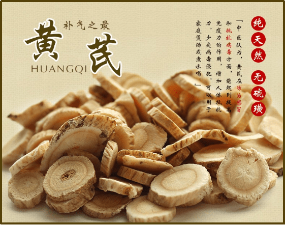 中药黄芪的功效