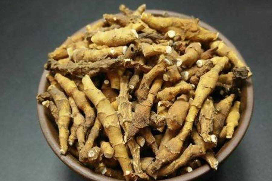 九节菖蒲的功效与作用有哪些?看完这篇你就明白啦!