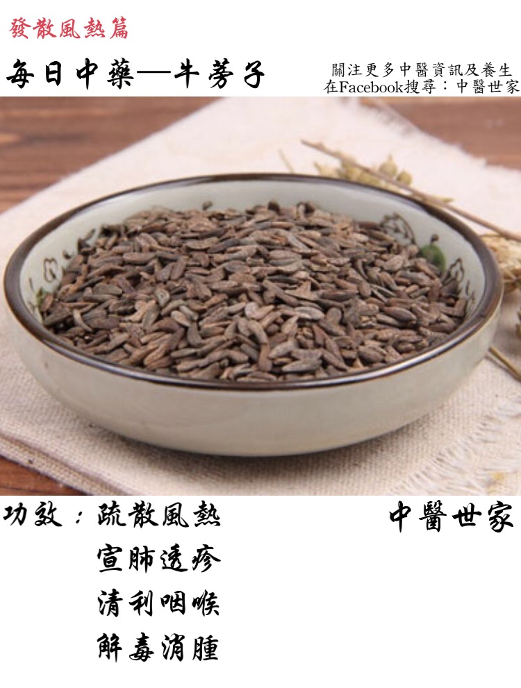 牛蒡子功效与作用