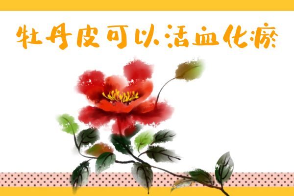 牡丹皮的功效对身体好不好？听听专家怎么说！