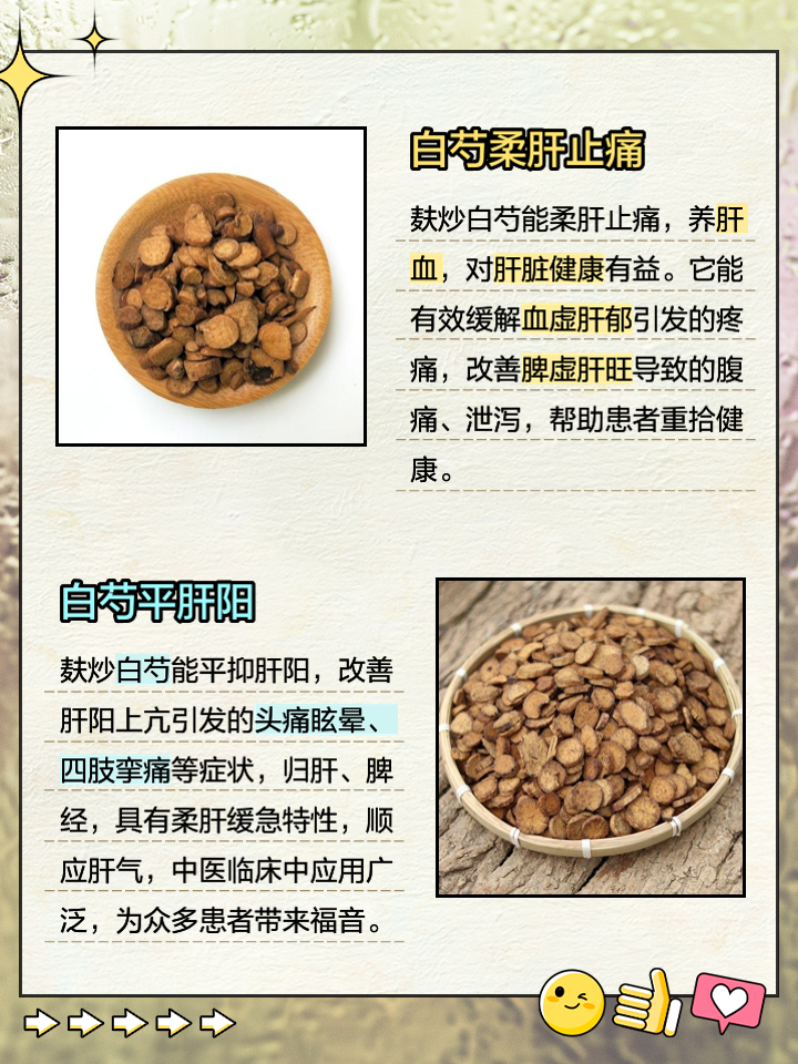 想知道麸白芍的功效与作用吗?(老中医为你详细讲解)