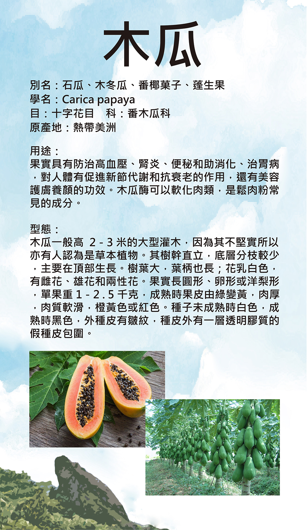 木瓜功效