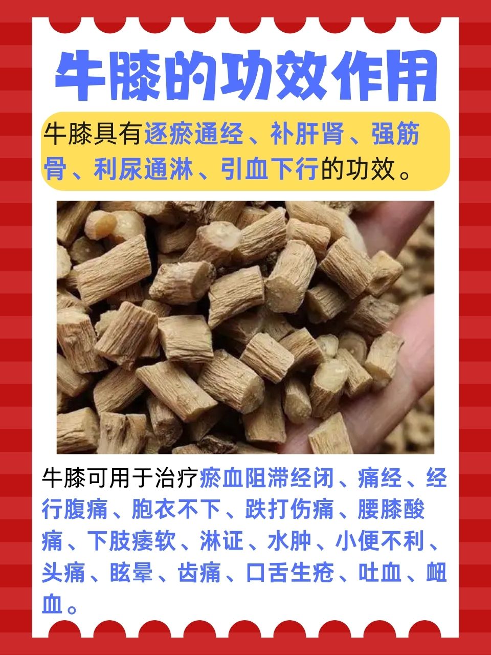 牛膝功效与作用有哪些?老中医告诉你这几点很关键!