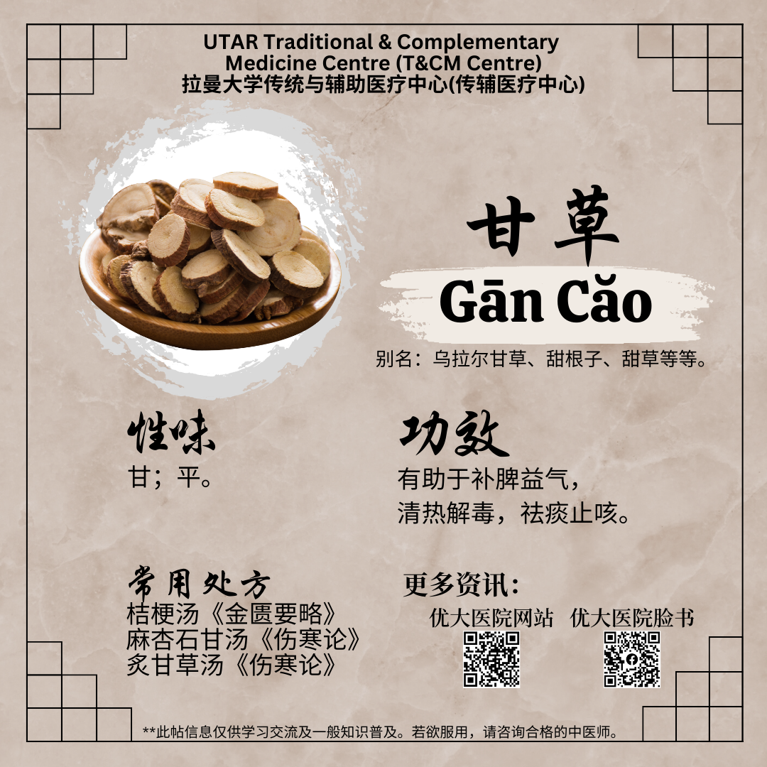 中药炙甘草的功效与作用