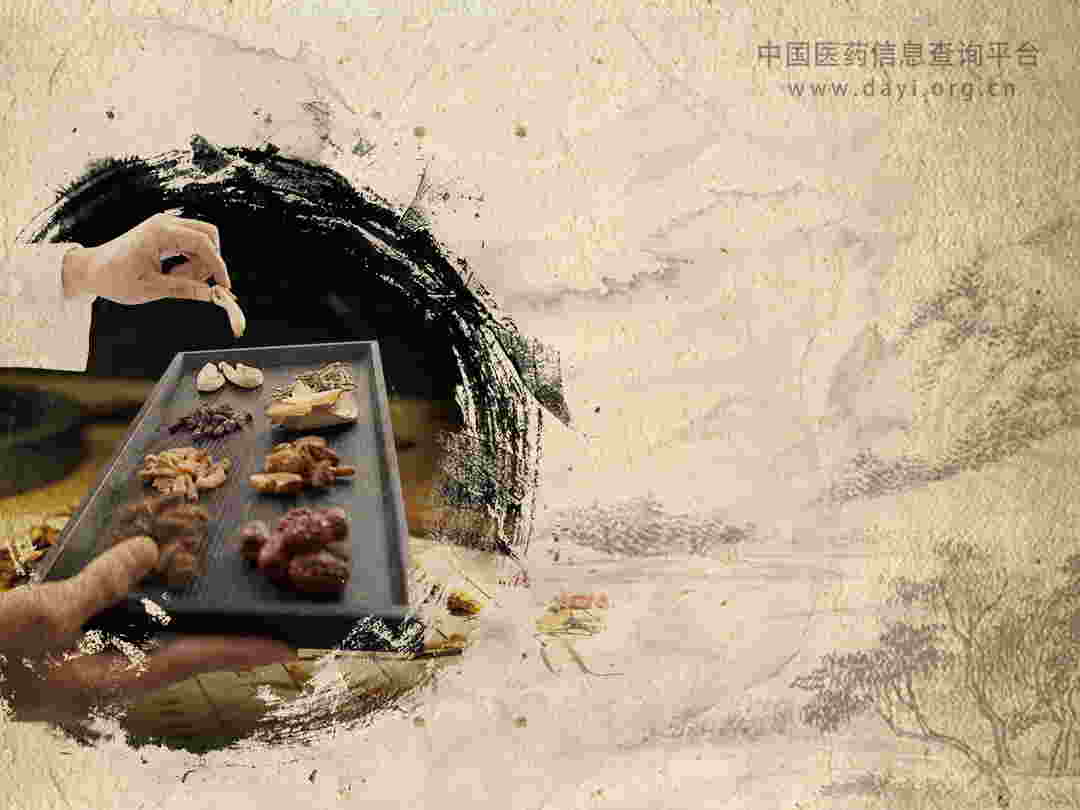 海桐皮的功效与作用有哪些?这几大好处你可能不知道!
