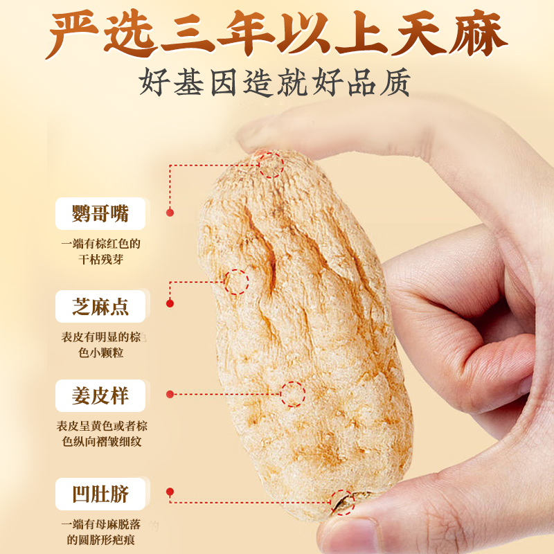 天麻功效有哪些?常吃天麻,这几大好处不容错过!