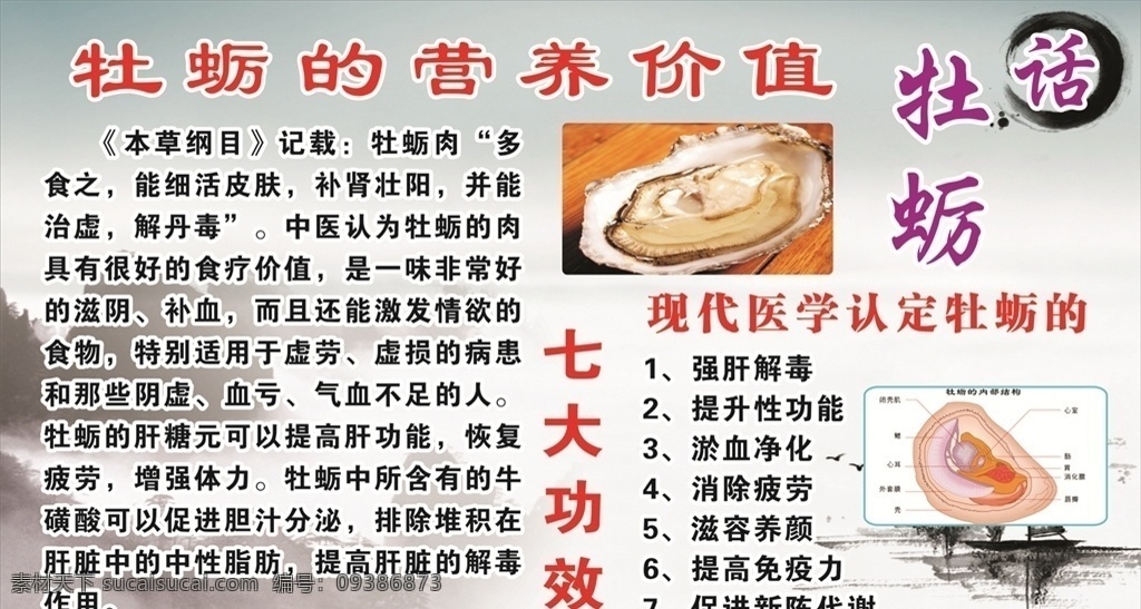 牡蛎功效和作用