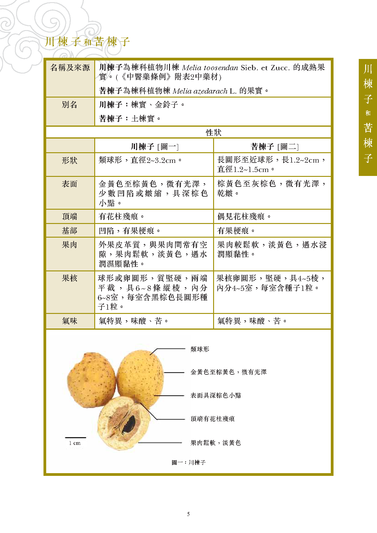 苦楝子的功效与作用你知道吗?老中医告诉你它的妙用!