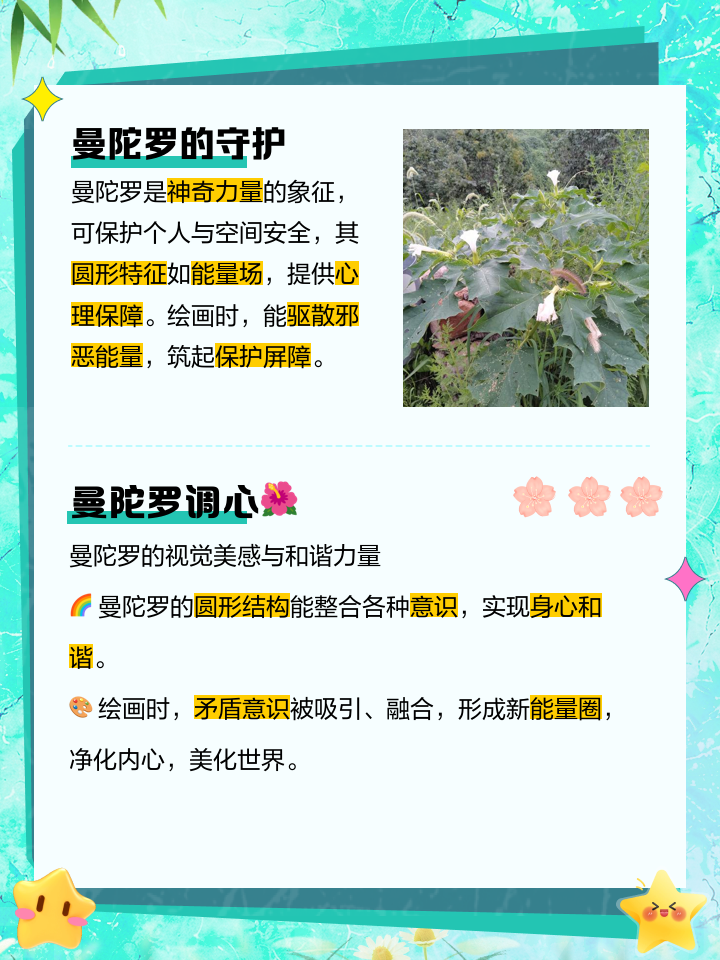 曼陀罗的功效与作用有哪些?了解这些好处让你更懂它