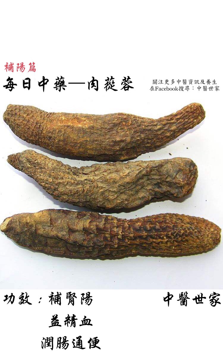 肉苁蓉有什么功效