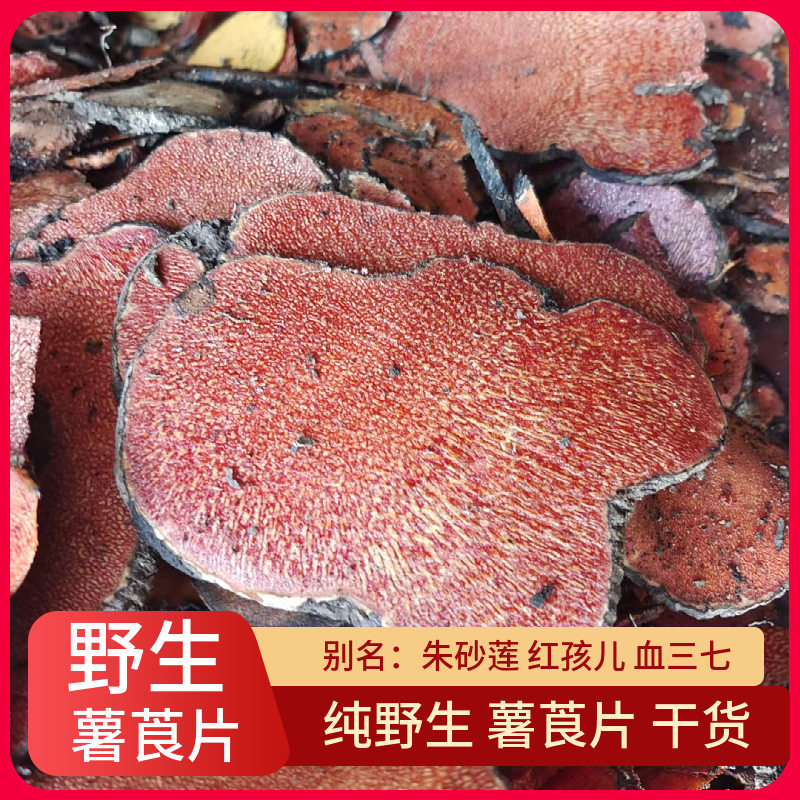 薯莨的功效与作用大公开(这些实用好处你可别错过)