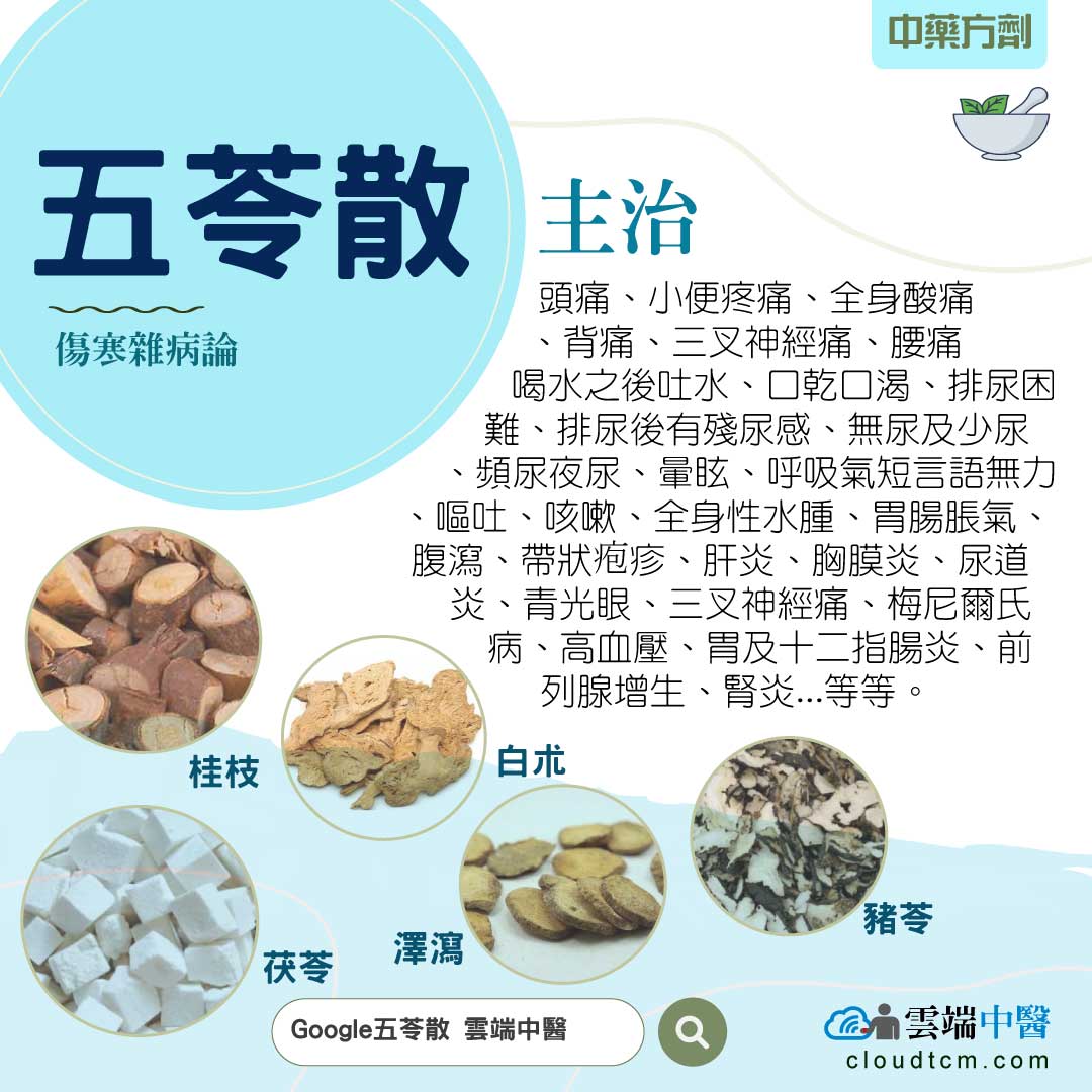 茵陈五苓散的功效与作用