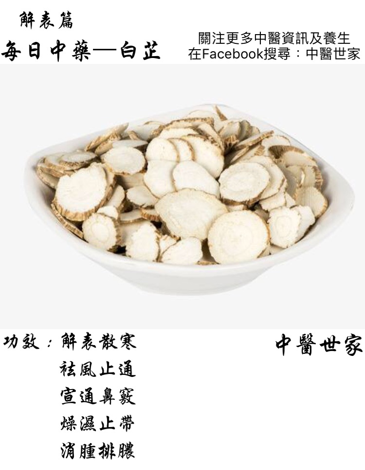 想知道白芷的功效和作用?老中医教你正确用法!