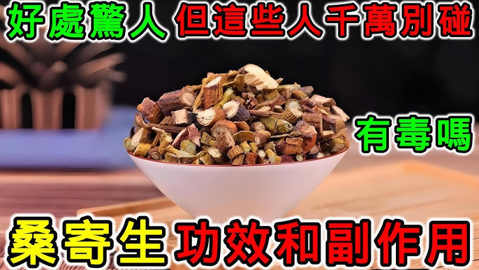 桑寄生功效与作用怎么样?医生告诉你怎么用才对!