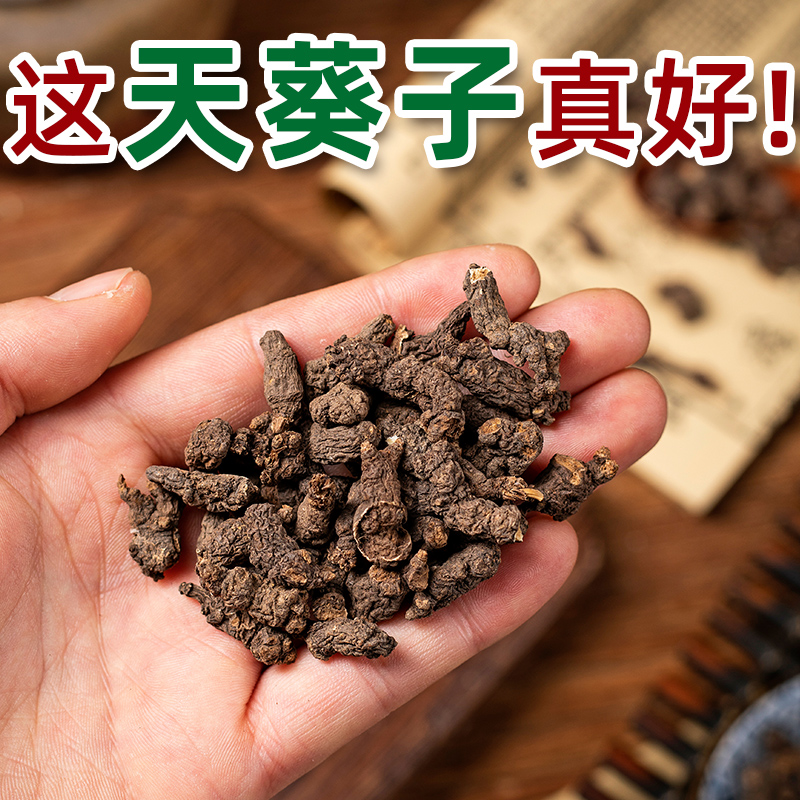 天葵子的功效与作用怎么用?搞懂这些才能发挥好效果。