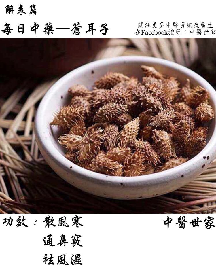 苍耳的功效与作用