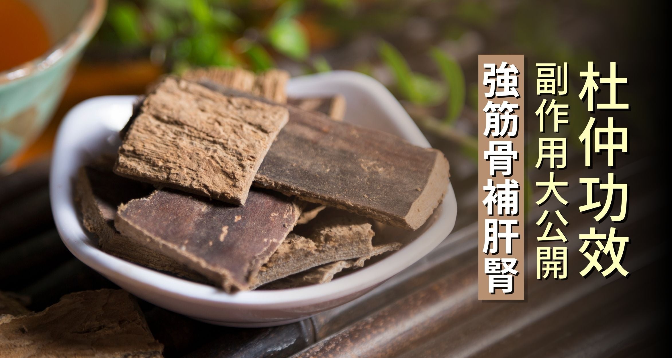 杜仲的作用与功效有哪些?简单了解这几点好处多多!