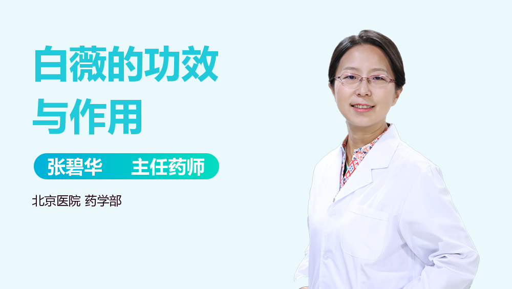 想知道白薇的功效与作用？这篇文章讲得特别透彻。