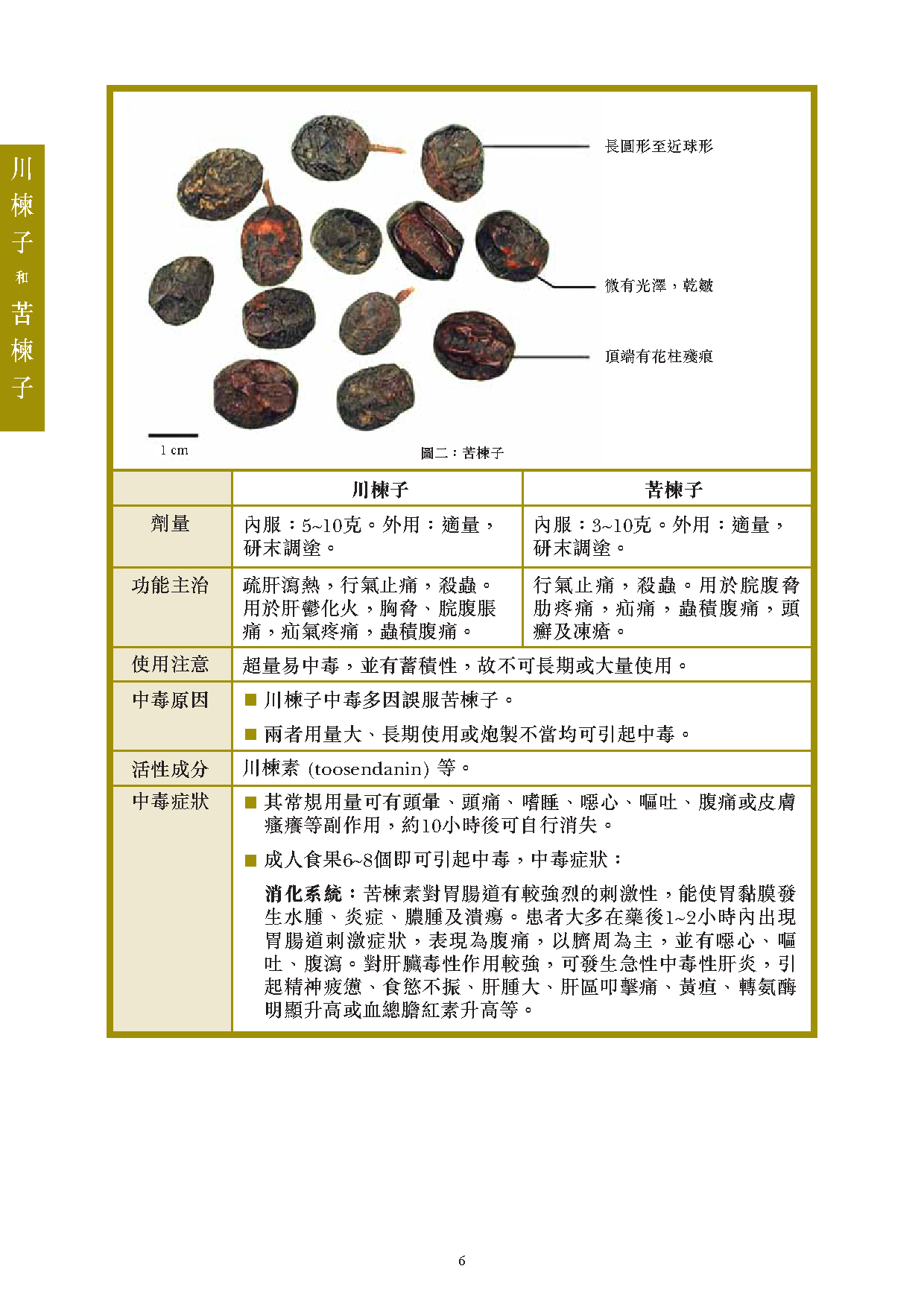 苦楝子的功效与作用你知道吗?老中医告诉你它的妙用!