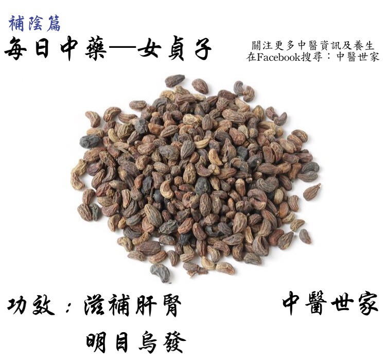 制女贞子的功效与作用