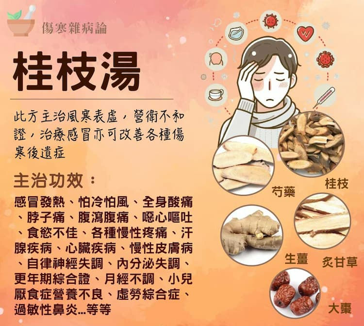 桂枝的作用与功效