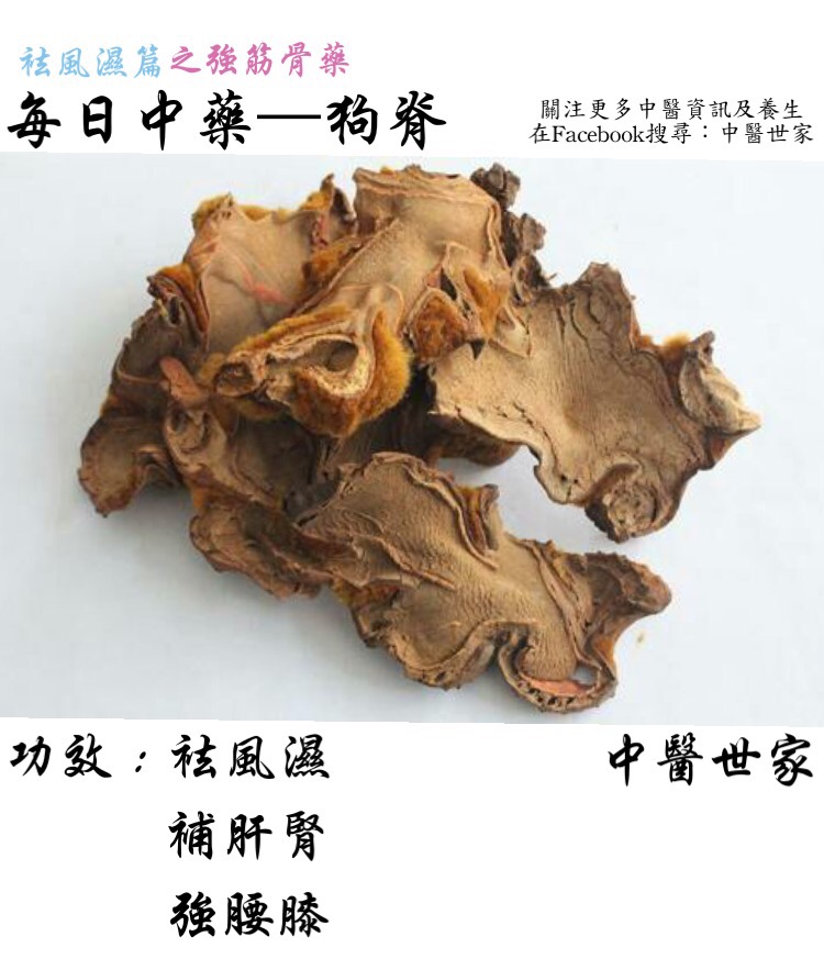 烫狗脊的功效与作用是什么?中老年人吃了都说好。