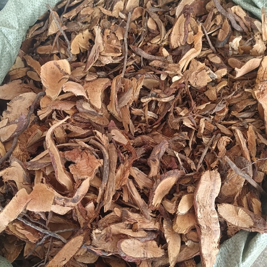金樱根的功效与作用大揭秘!这几类人群吃了特别管用。