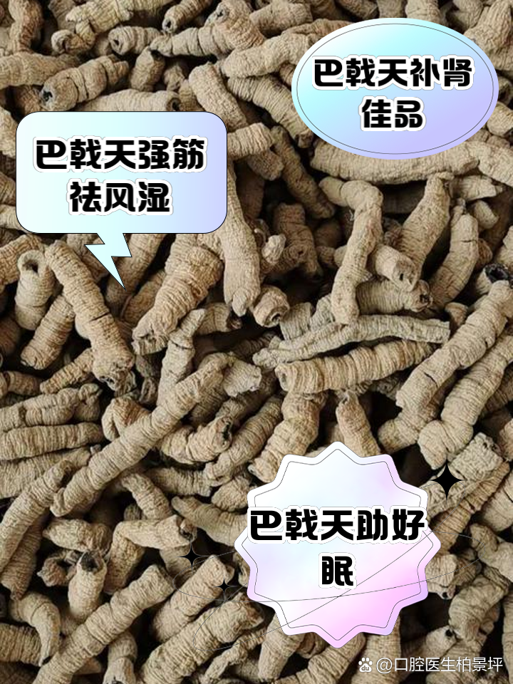 详解制巴戟天的功效与作用,哪些人吃了对身体特别好。