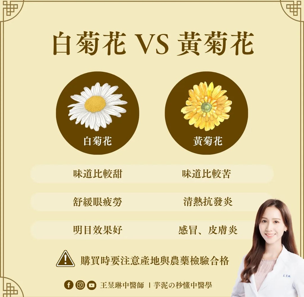 菊花功效与作用