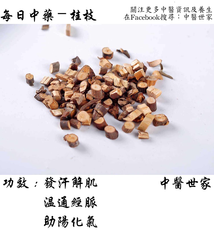 桂枝的作用和功效是什么?老中医教你正确用法!