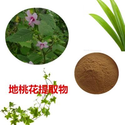 地桃花的功效与作用及禁忌,使用前必看免得出问题。