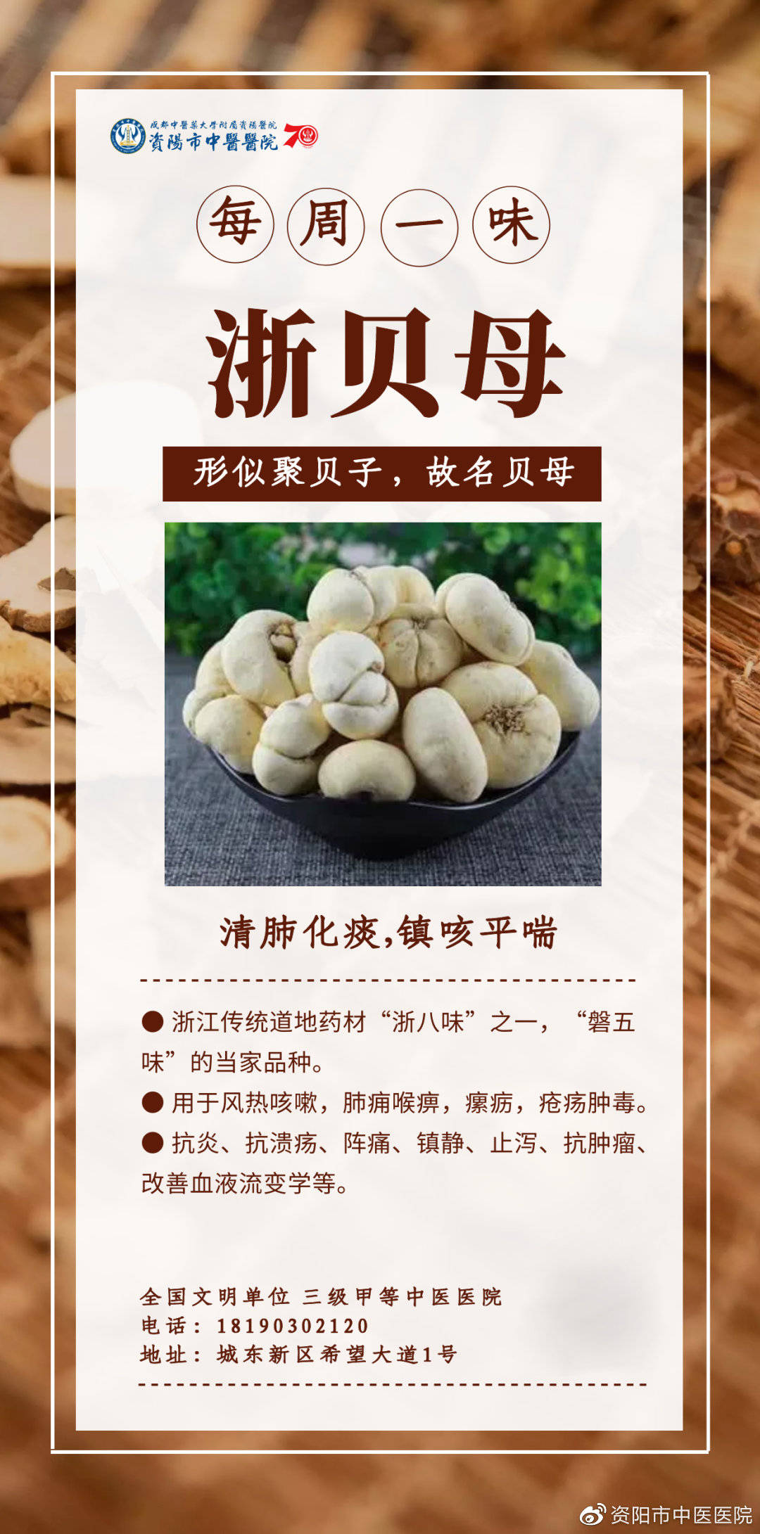 浙贝母的功效