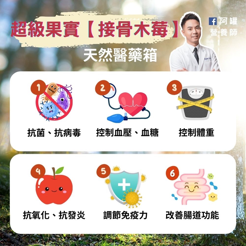 接骨木的功效与作用是什么?日常保健就靠它了!