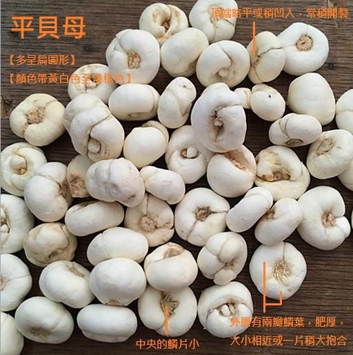 平贝母的功效与作用有哪些?日常保健要知道这些事!