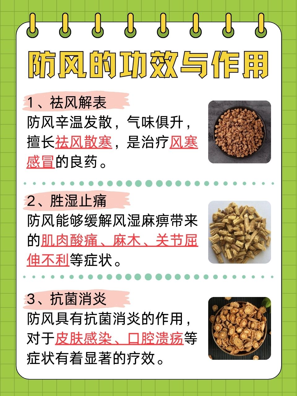探秘中药防风的功效与作用，这些妙用你可能还不知道！
