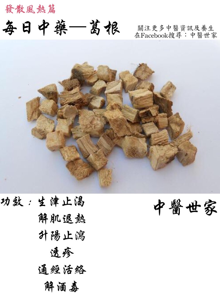 中药葛根的功效与作用