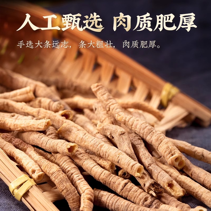 蜜远志的功效与作用有哪些?日常调理身体的好处真不少!