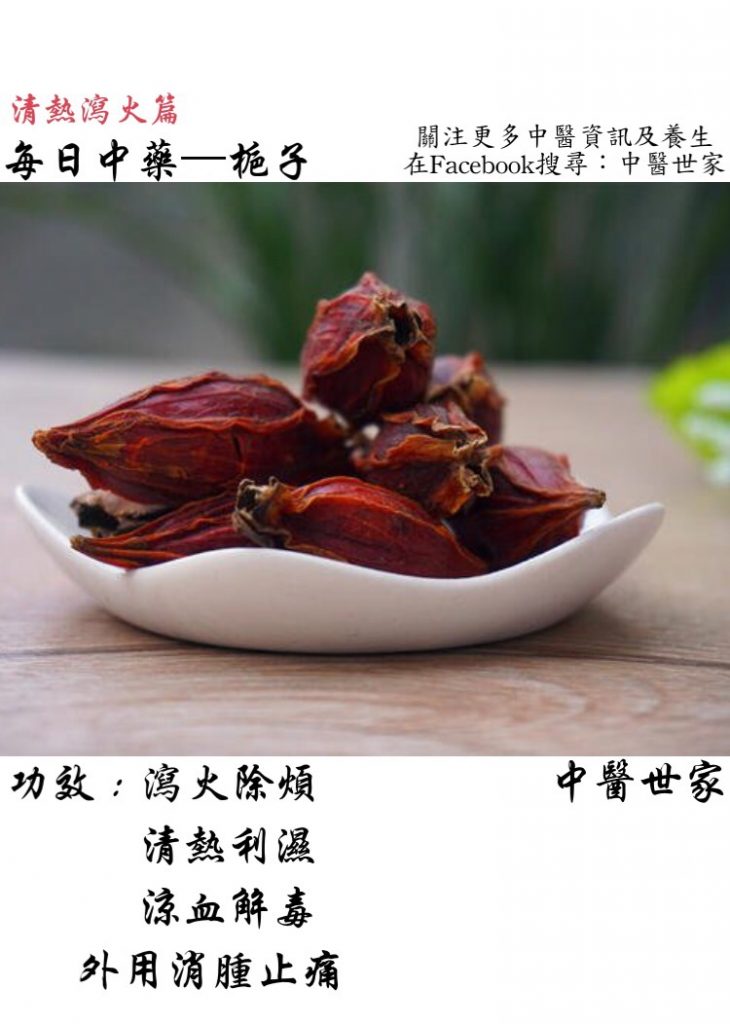 生栀子的功效与作用全知道,老中医分享使用心得!