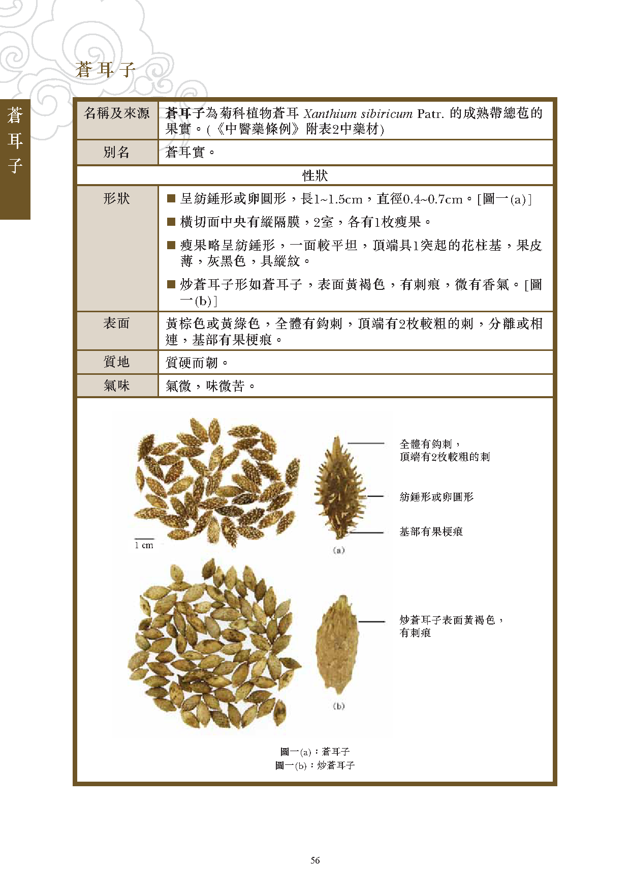 苍耳的功效与作用