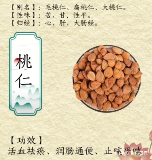 桃仁的功效与作用禁忌