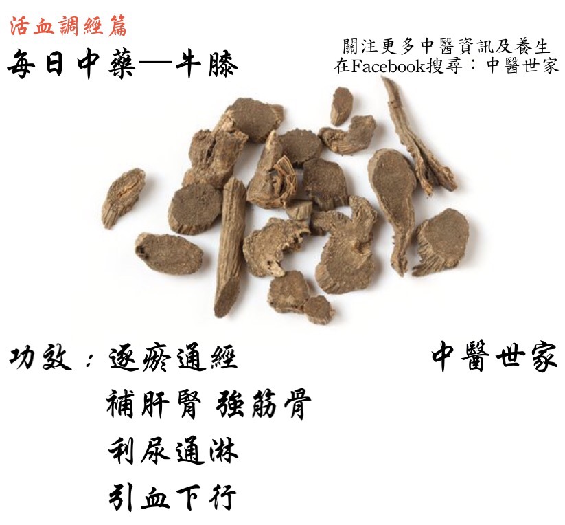 牛膝功效与作用有哪些?老中医告诉你这几点很关键!