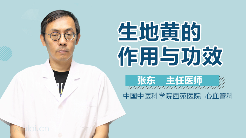 生地黄的作用与功效详解,日常养生可不能少了它!