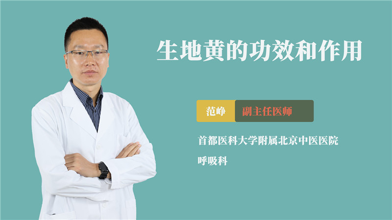 生地黄的作用与功效详解,日常养生可不能少了它!