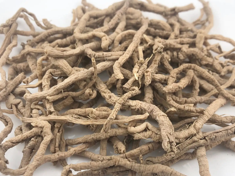 远志的作用与功效虽好,但这几类人群使用要当心!
